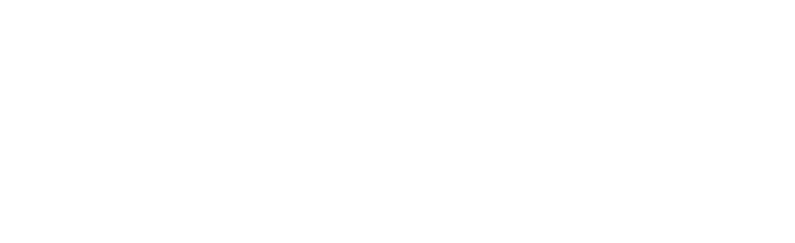 Causal Testing Workflow