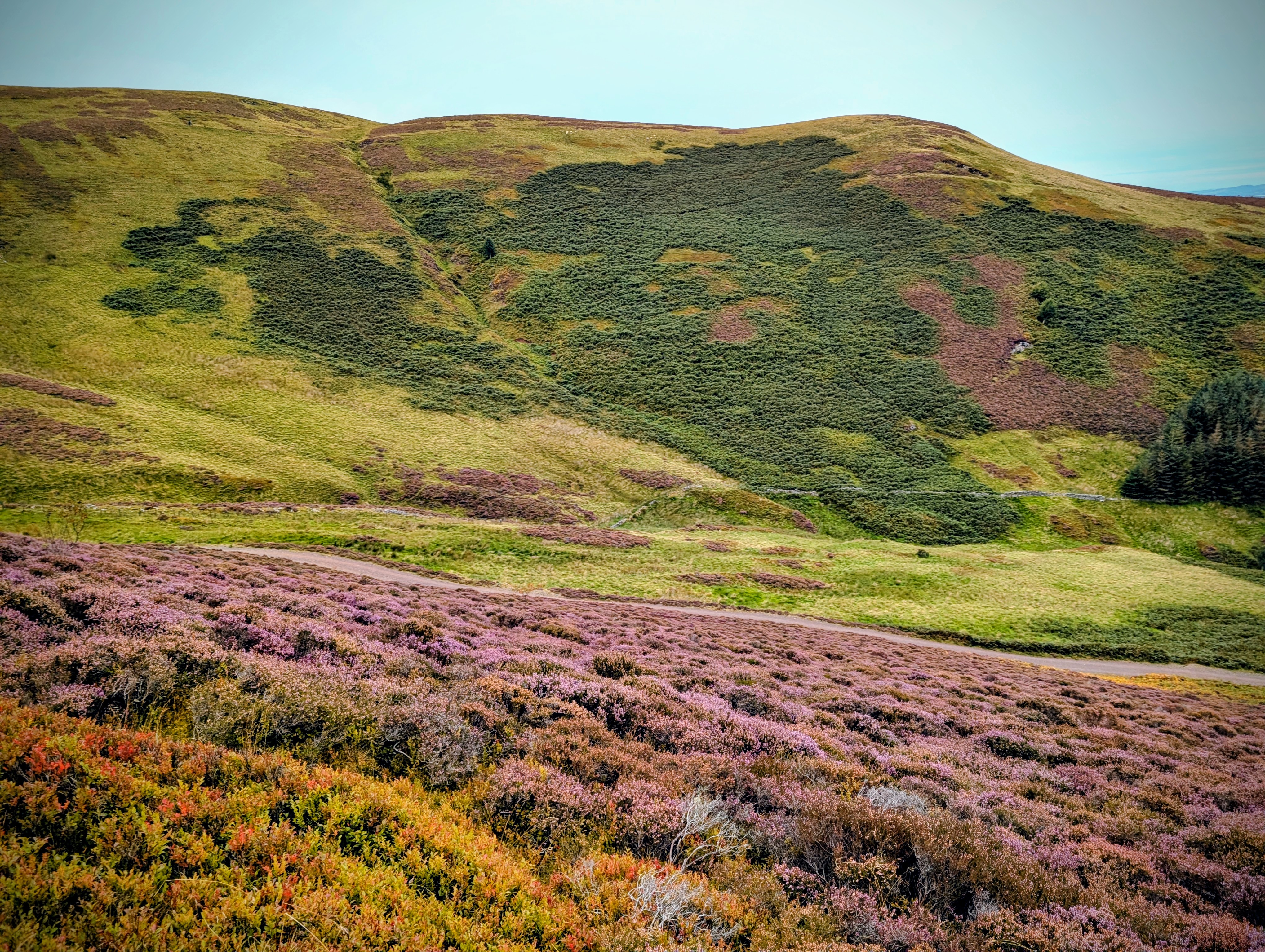 Marathon hills